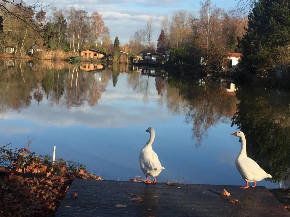 Vakantiehuisje De Waterhoek Geel Esterno foto
