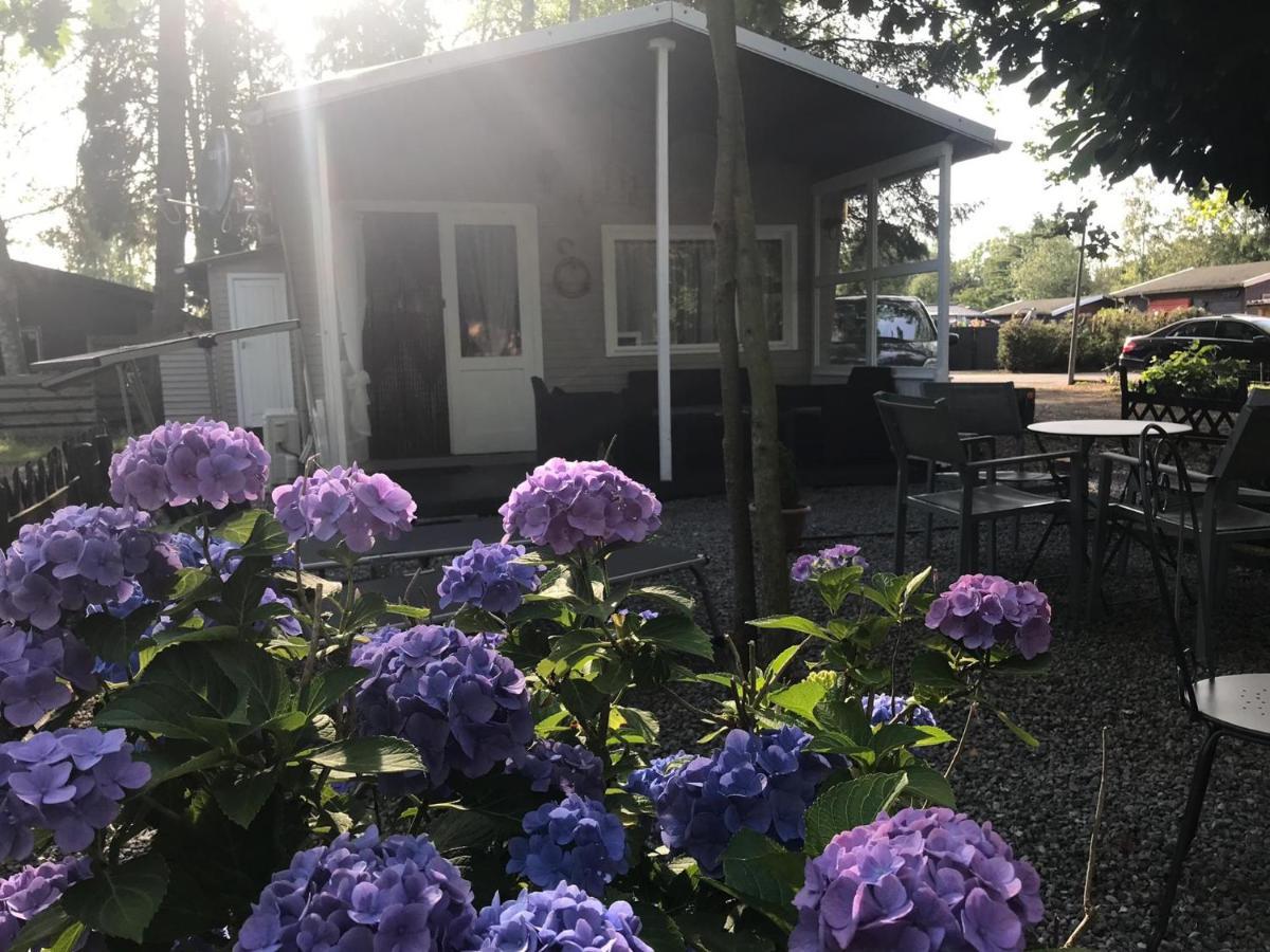 Vakantiehuisje De Waterhoek Geel Esterno foto